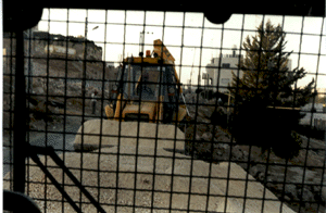 hebron2[1].gif